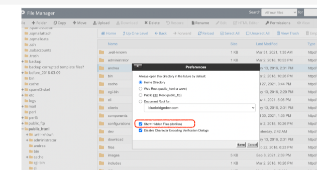 File manager show hidden files
